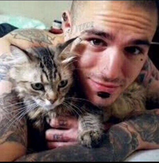  29766951  Vlad, 30 ,    