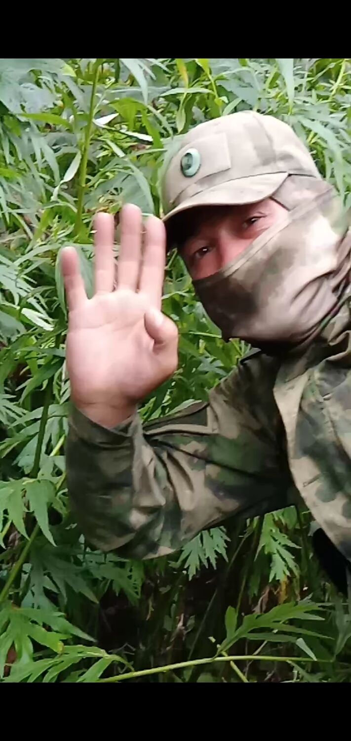 ���������� �����������, ���� ������� ����, 45 ���, ������������ ��� ������, ����� � ���������