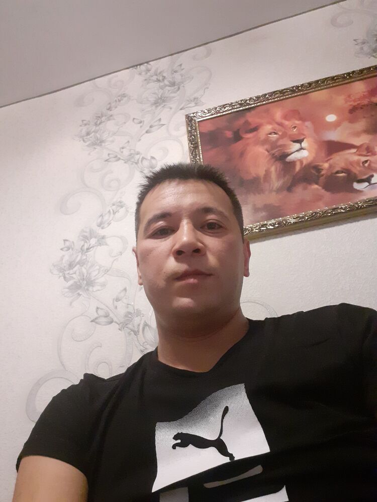  31265831  , 34 ,    