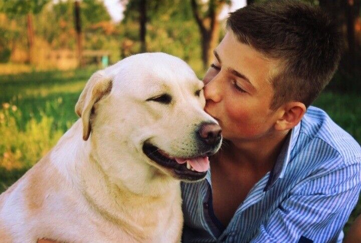 ���������� ������, ���� ������� �������, 26 ���, ������������ ��� ������, ����� � ���������