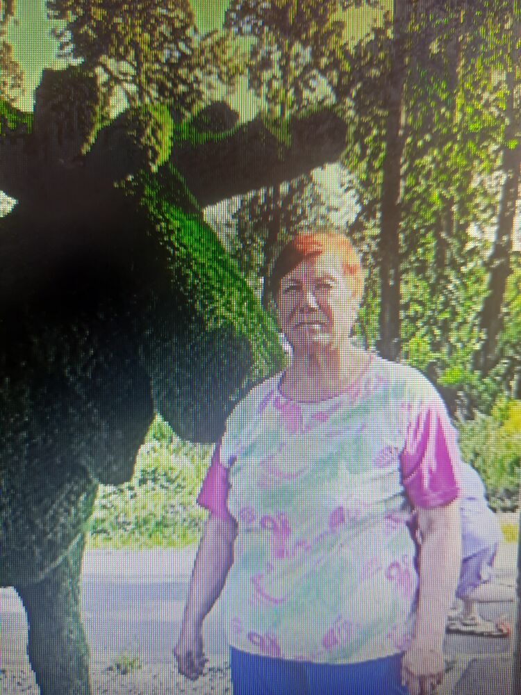 ���������� ���������, ���� ������� ������, 74 ����, ������������ ��� c�������� ���������, ���������