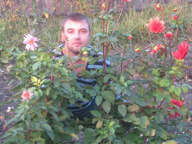  ,   Sergei, 40 ,     , c 