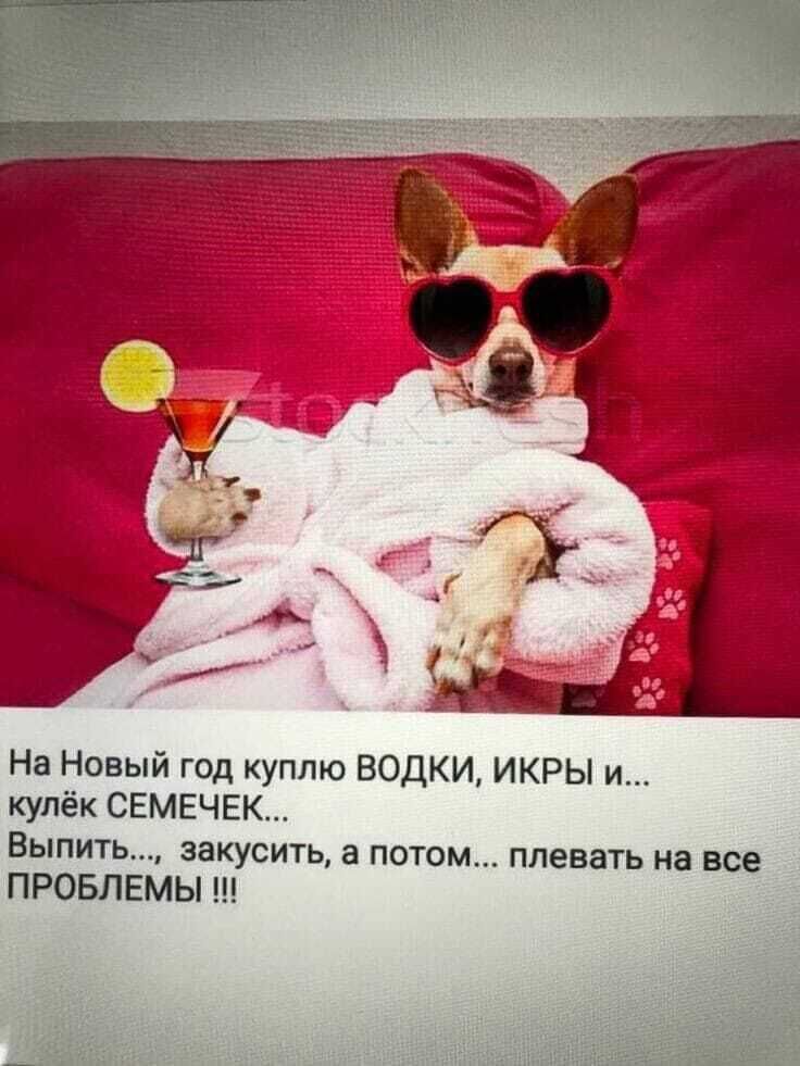 ���������� ����������, ���� ������� ���, 45 ���, ������������ ��� ������, ����� � ���������