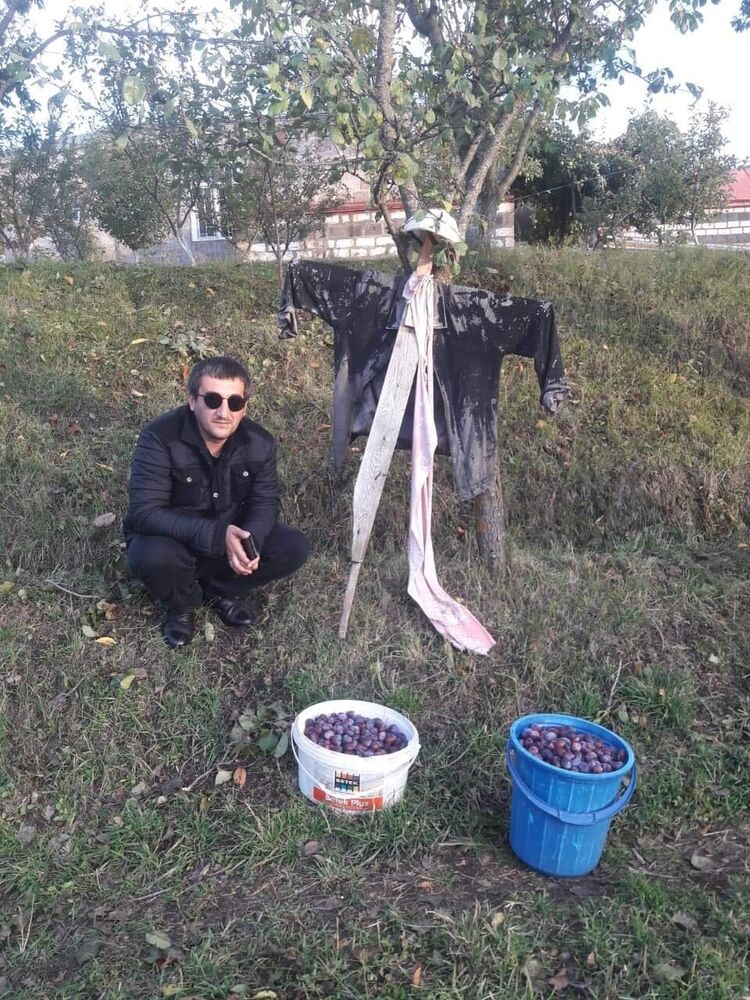 ���� 37344391 ������� Pogos, 37 ���, ���� ���������� � �������-��-����