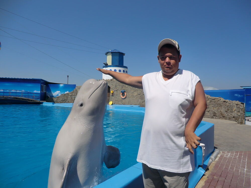 ���� 4948211 ������� ����, 39 ���, ���� ���������� � �������������