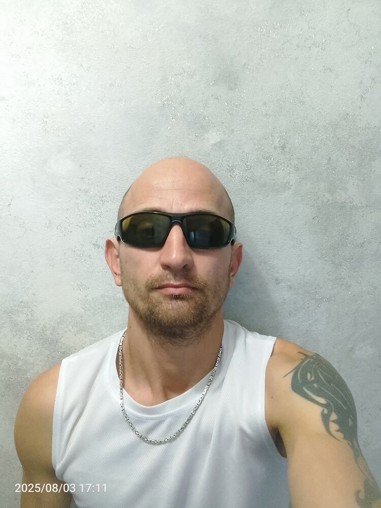  53061161  , 39 ,    