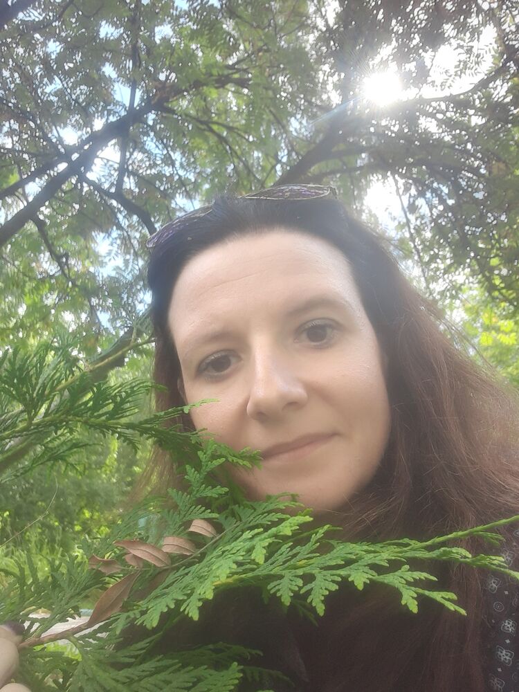 ���������� ������, ���� ������� �������, 36 ���, ������������ ��� c�������� ���������