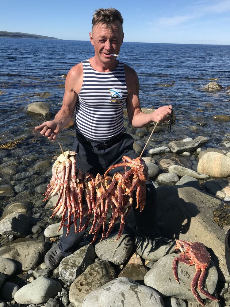  ,   , 54 ,   ,   