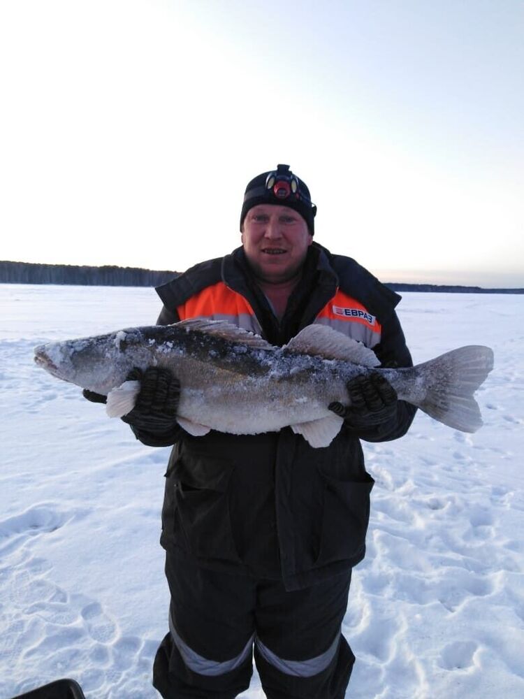 ���������� ������ �����, ���� ������� �������, 49 ���, ������������ ��� ������, ����� � ���������, c�������� ���������