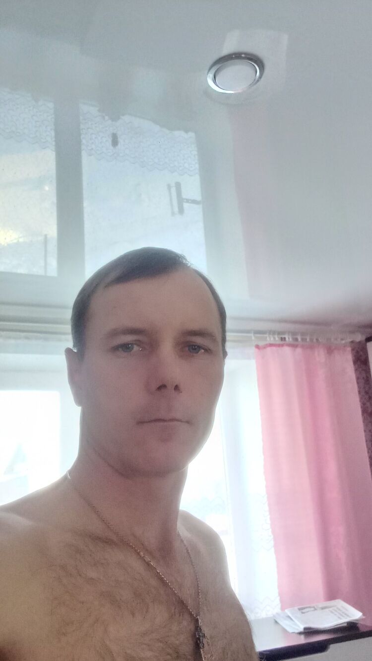  31281361  , 41 ,    -