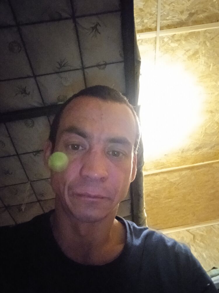  28183261  , 40 ,    