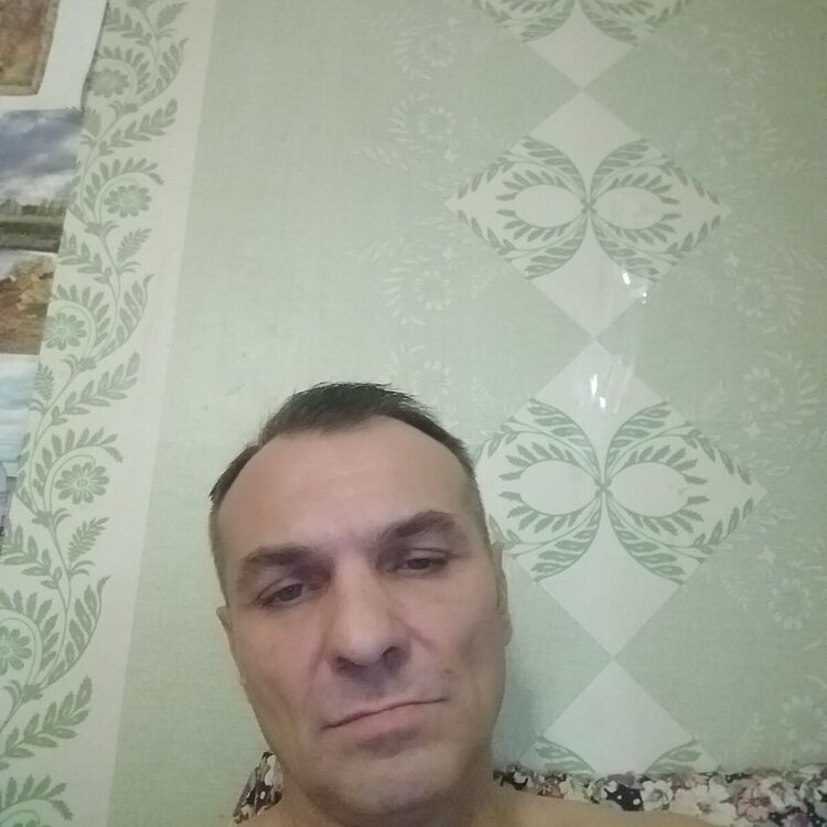  21719271  , 54 ,    -