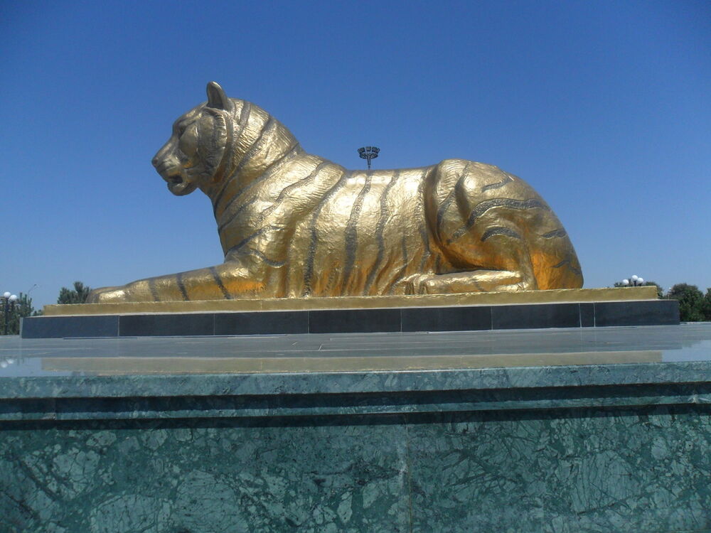 ���� 6465191 ������� Yusufbek, 33 ����, ���� ���������� � �����