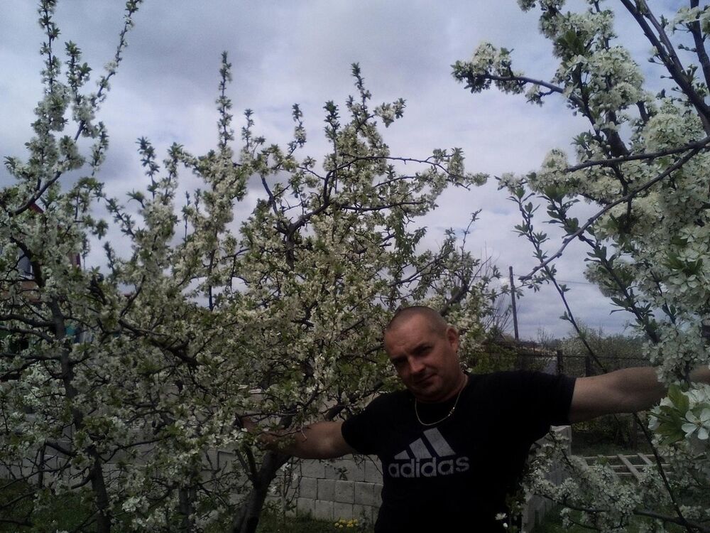 ���� 17368041 ������� �������, 50 ���, ���� ���������� � ����������