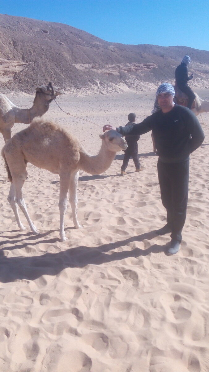 ���� 11427271 ������� �������, 49 ���, ���� ���������� � ���������������