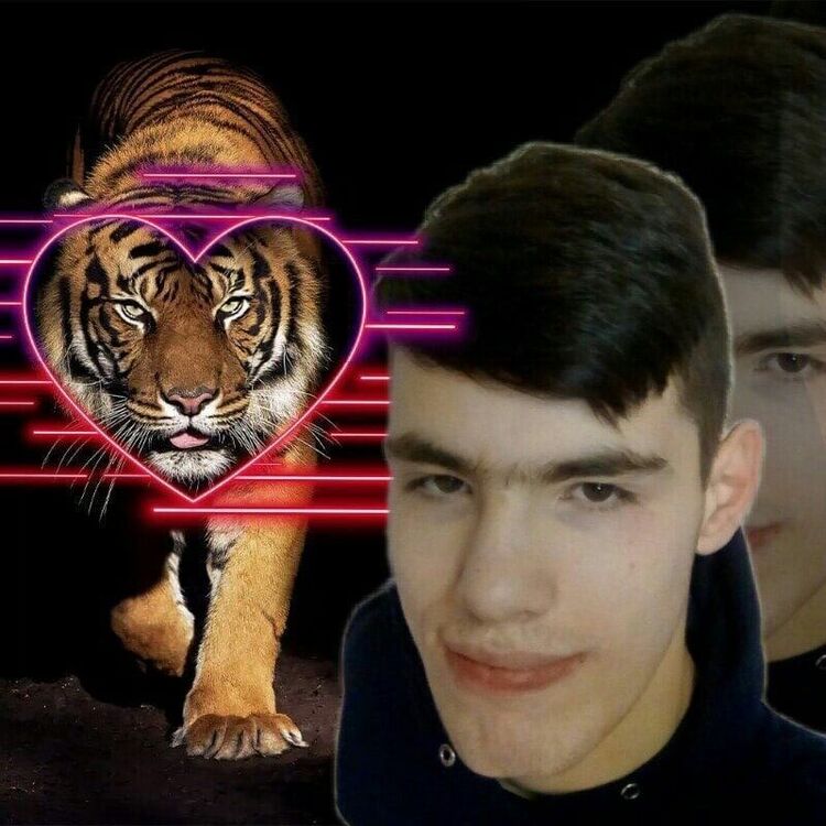  ,   , 22 ,     , c , 