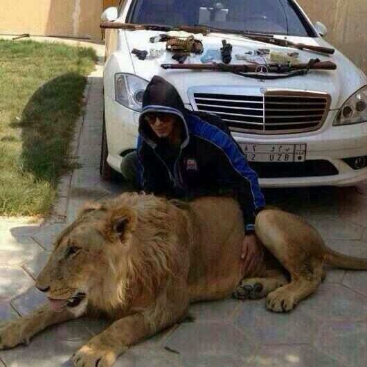 ���� 4239901 ������� ���, 39 ���, ���� ���������� � ��������