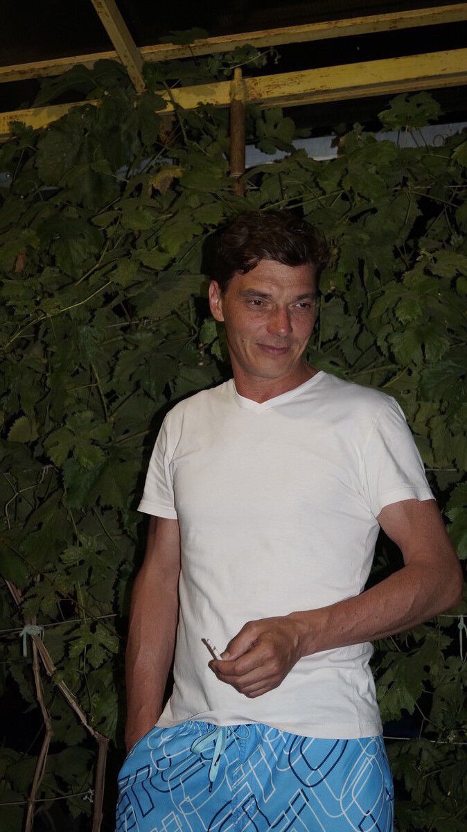  7852581  , 51 ,    -