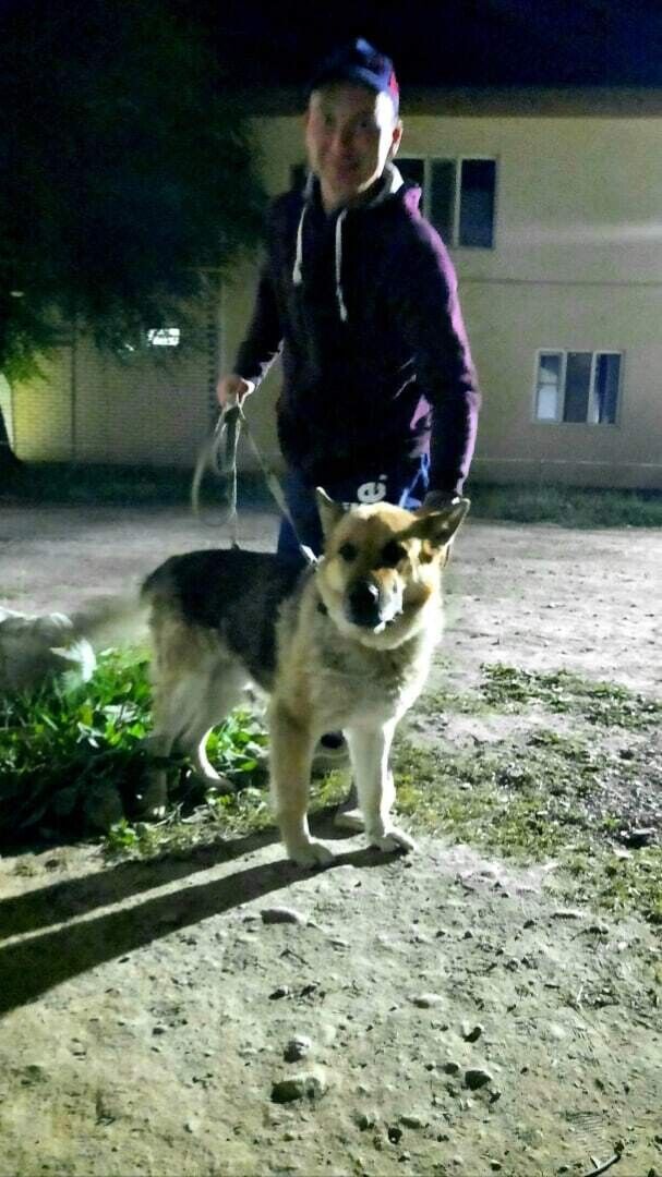 ���� 22387291 ������� Sweet bread, 31 ���, ���� ���������� � ������