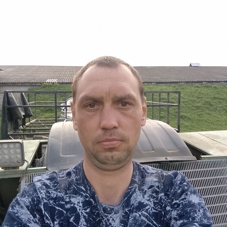  51177871  , 37 ,    