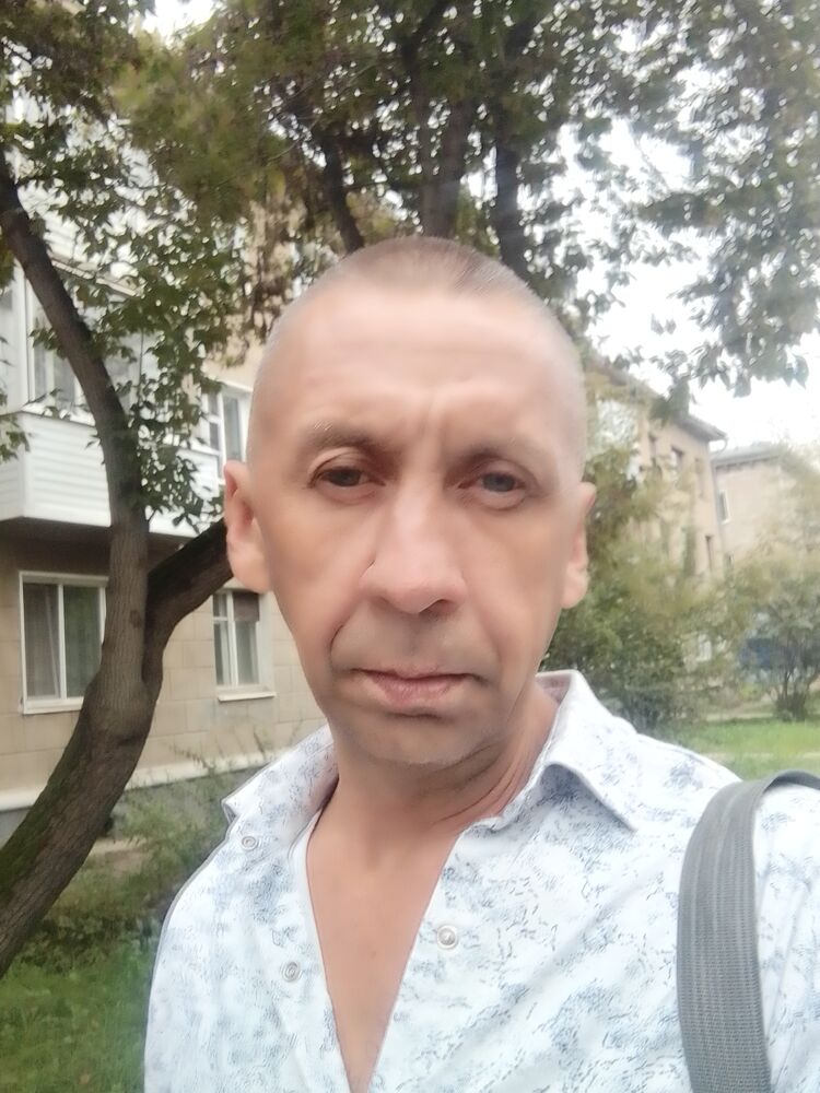 37828581  , 44 ,    