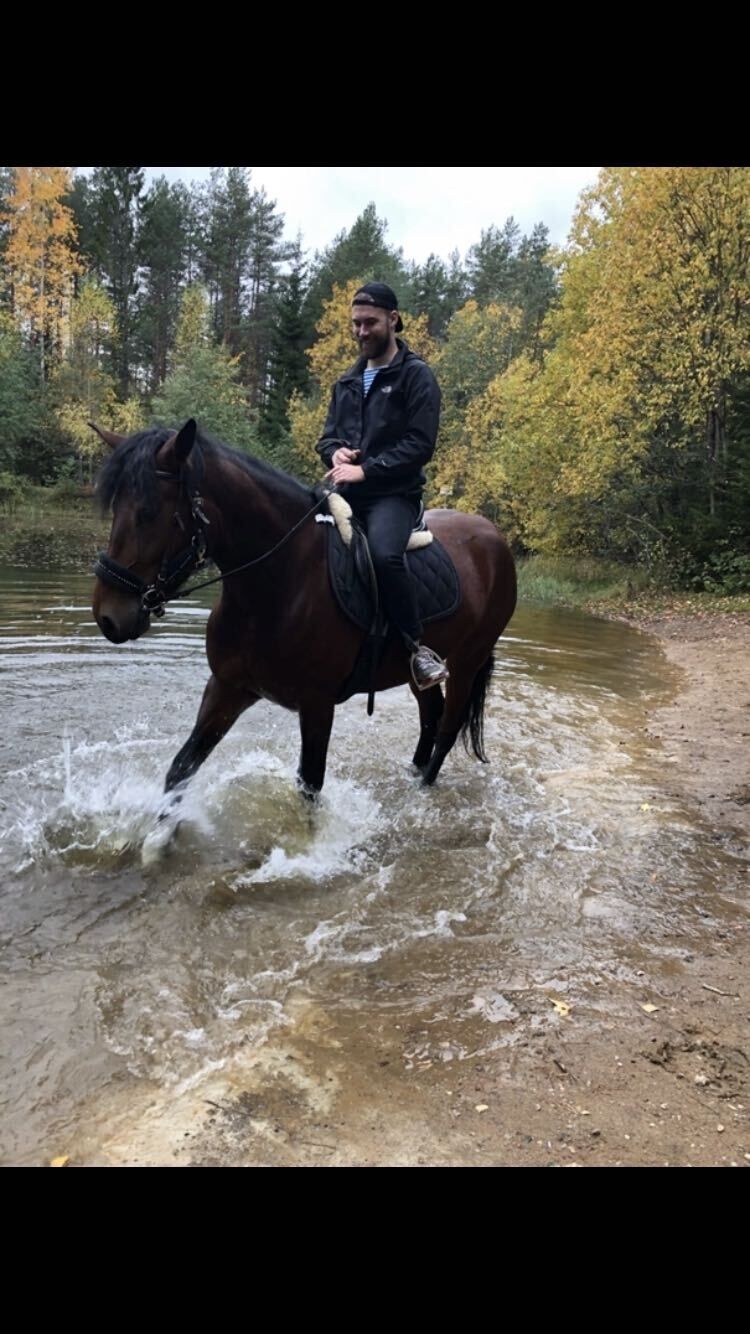 ���� 33978281 ������� ���������, 34 ����, ���� ���������� � ����