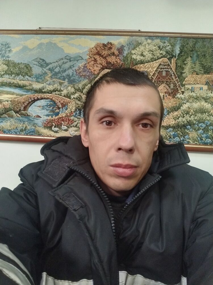  50241231  , 38 ,    -