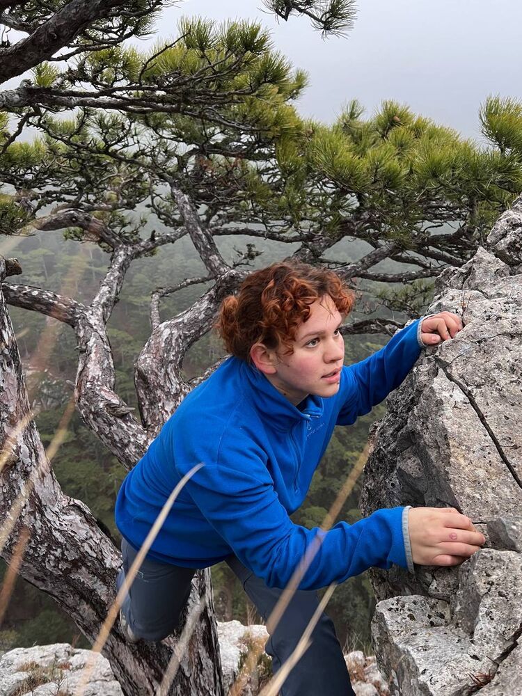 ���������� �����������, ���� ������� ���������, 21 ���, ������������ 