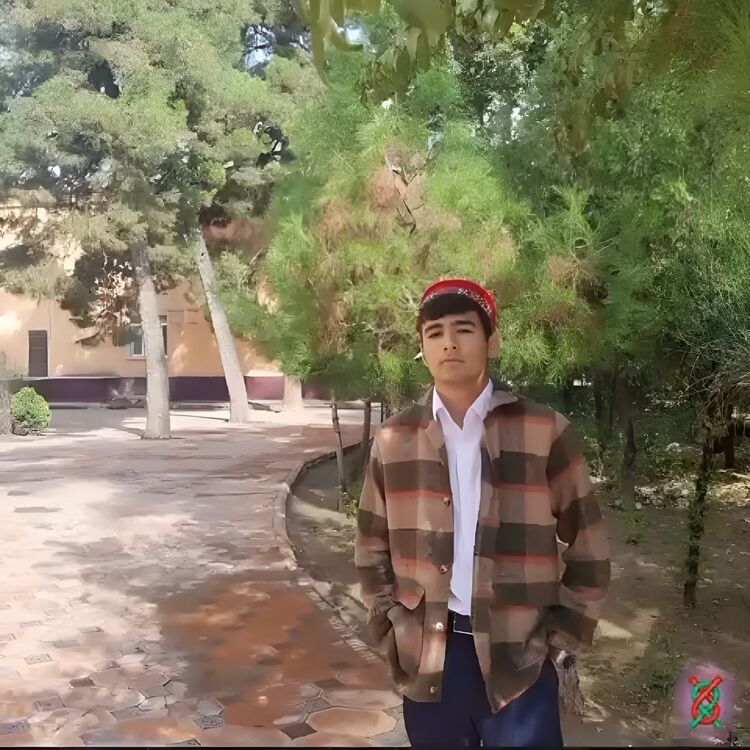  52262121  , 19 ,    