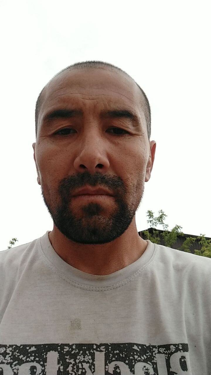  35266901  , 43 ,    