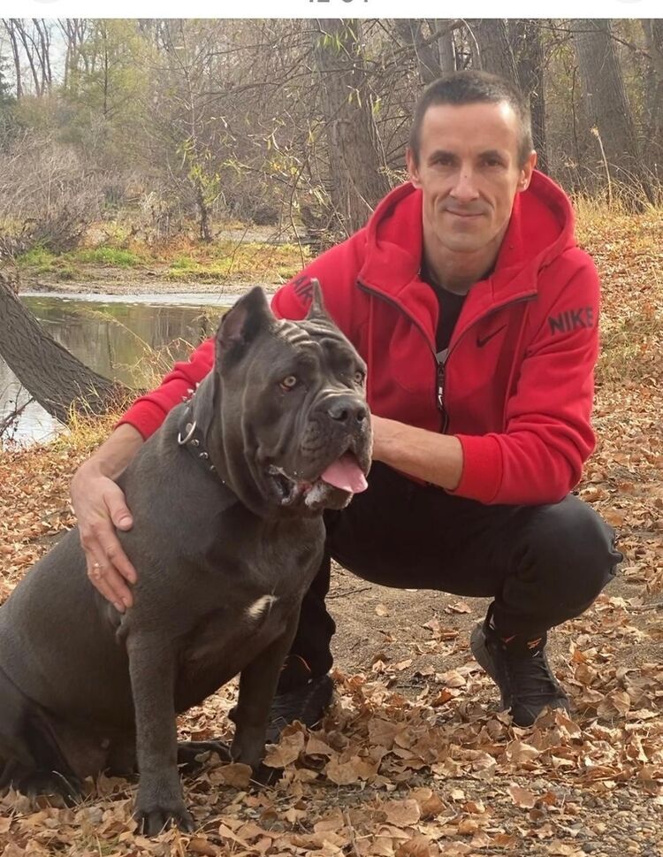 ���� 55318501 ������� �����, 38 ���, ���� ���������� � �������������