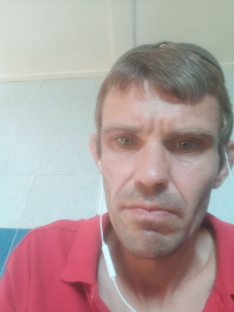  44545221  , 43 ,    