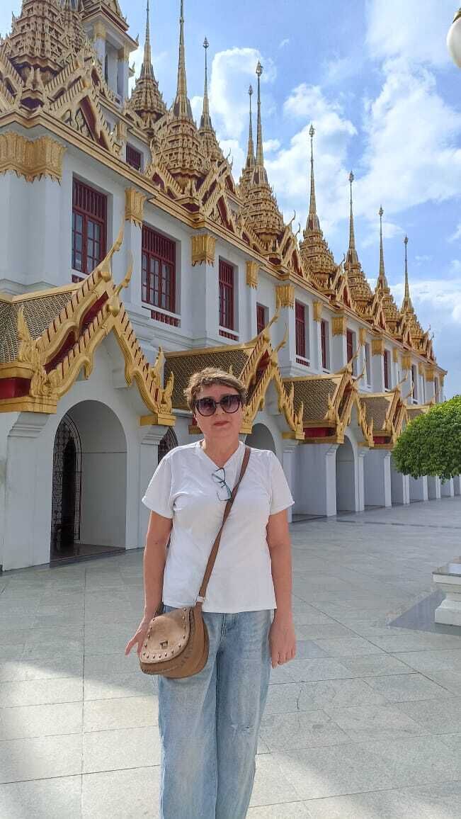  50325651  , 59 ,    -