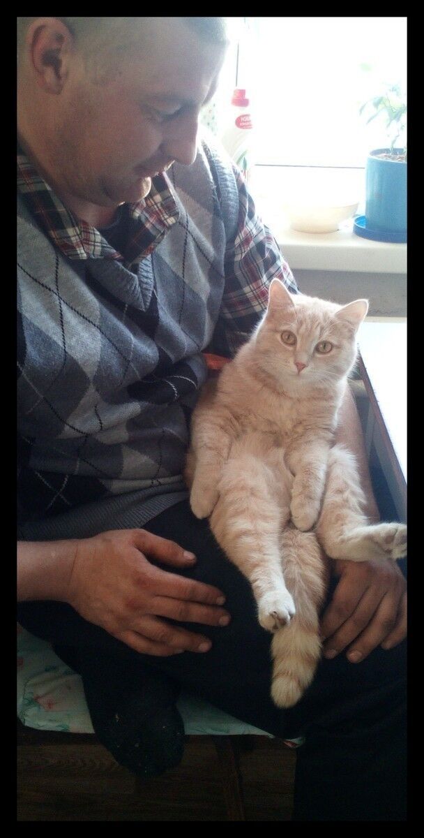 ���������� ����, ���� ������� ���������, 41 ���, ������������ ��� ������, ����� � ���������, c�������� ���������