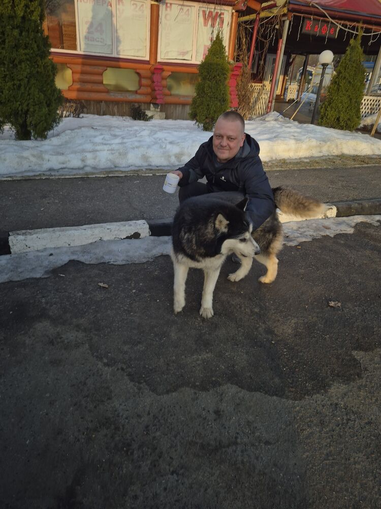 ���� 56115641 ������� ���������, 43 ����, ���� ���������� � �������