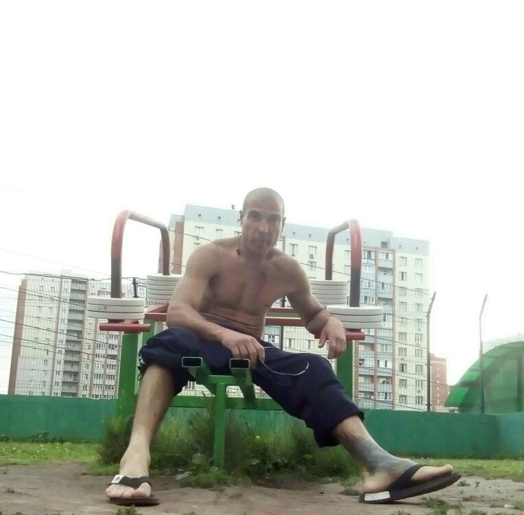  15599701  , 44 ,    