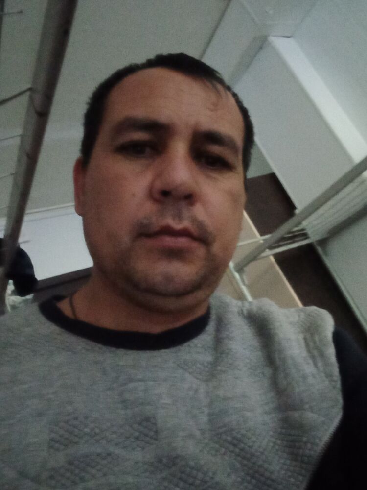  28441521  , 43 ,    