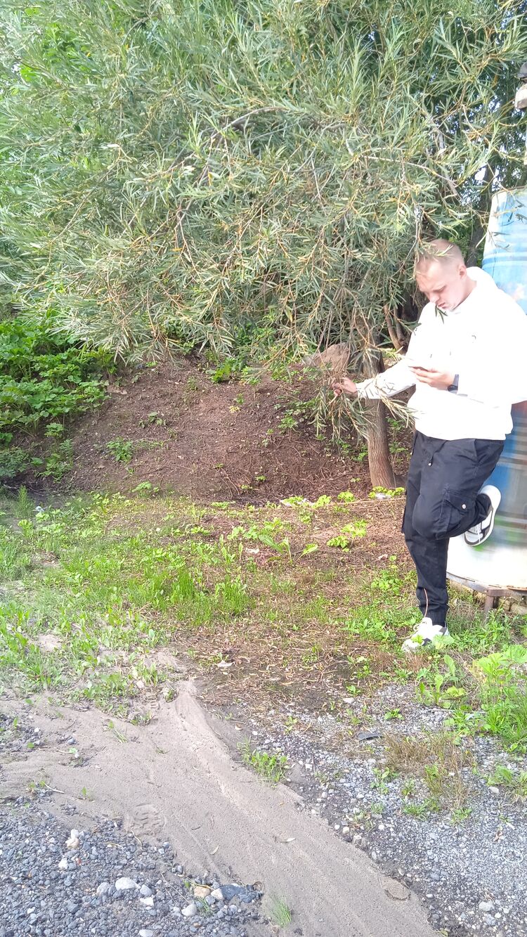 ���� 37515321 ������� Noname, 38 ���, ���� ���������� � ���������