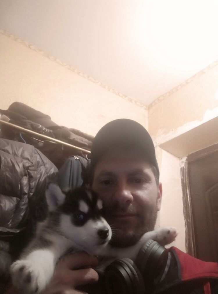 ���� 24692591 ������� ������, 41 ���, ���� ���������� � ���������