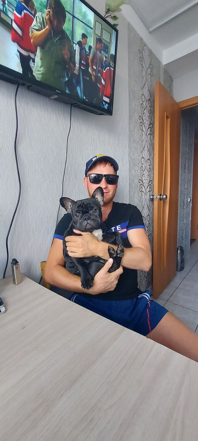 ���������� �����, ���� ������� ����, 40 ���, ������������ ��� ������, ����� � ���������, c�������� ���������