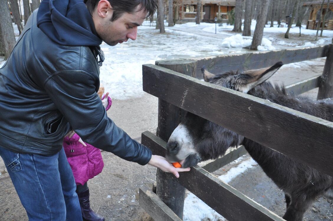 ���������� �����������, ���� ������� ��������, 37 ���, ������������ ��� ����� � ���������, c�������� ���������