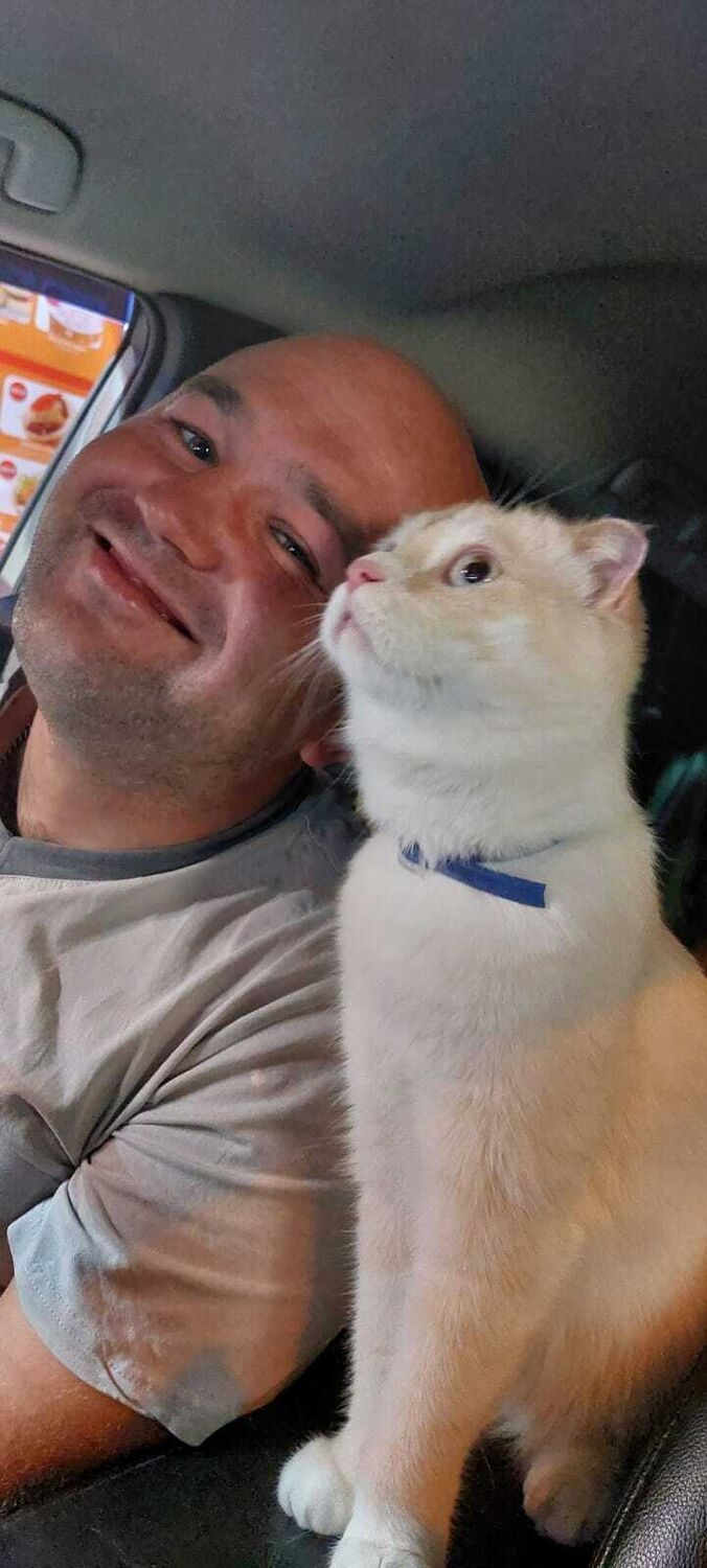 ���� 43375221 ������� ������, 38 ���, ���� ���������� � ������������