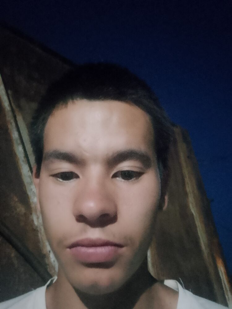  53389401  , 18 ,    