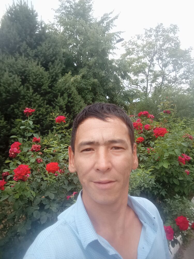  45596331  , 36 ,    