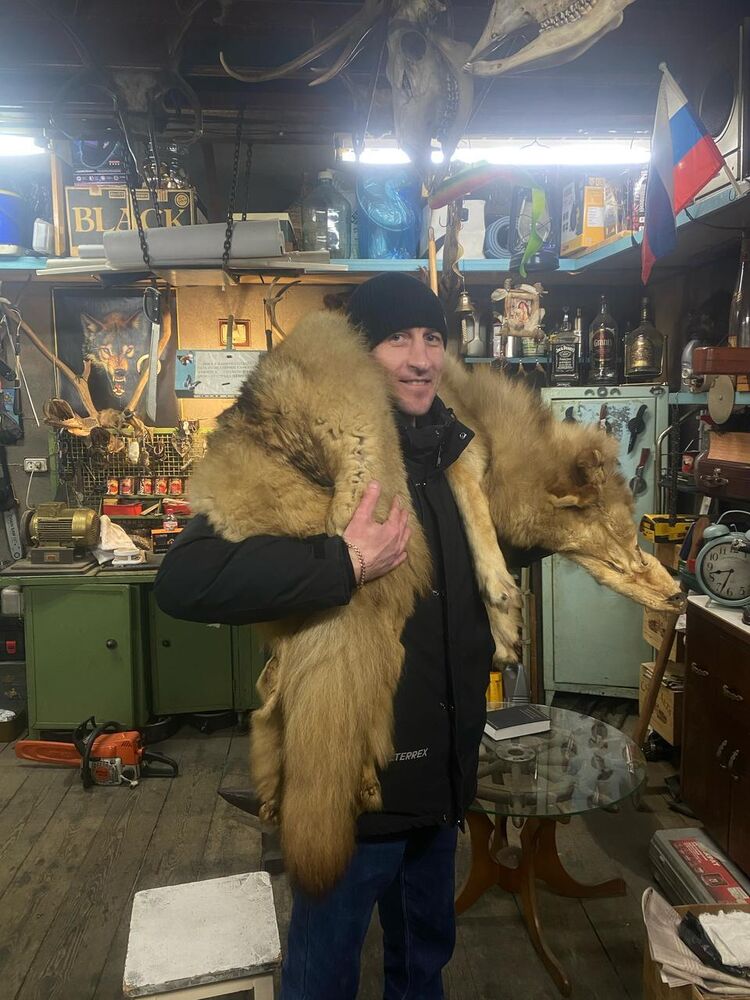 ���� 56194751 ������� �����, 41 ���, ���� ���������� � �����������