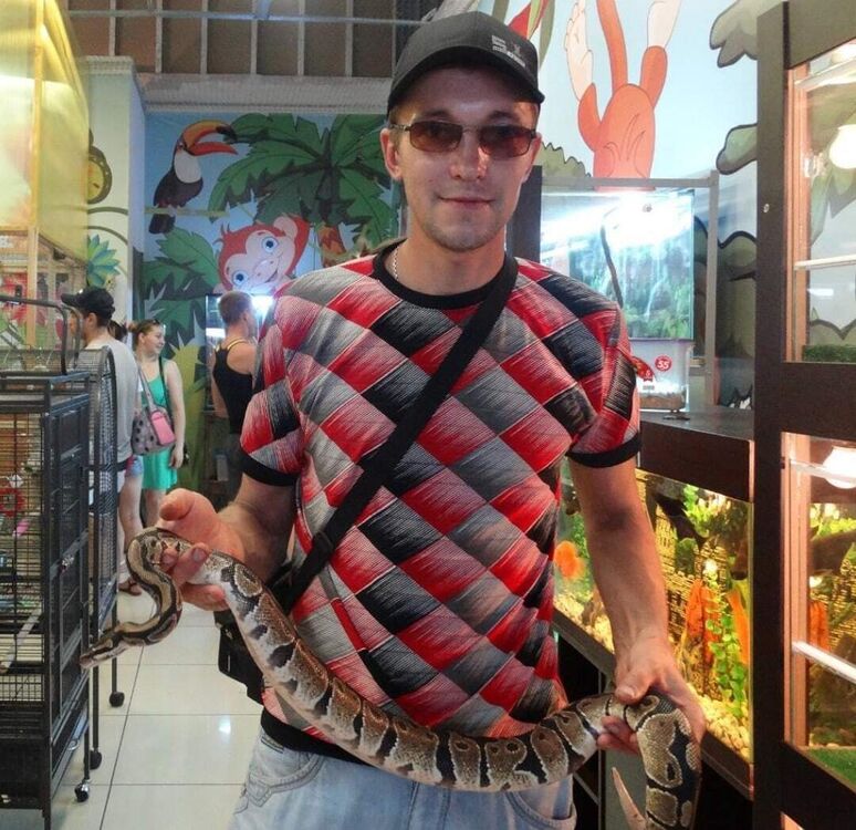 ���������� �������, ���� ������� ����, 38 ���, ������������ ��� ������, ����� � ���������, c�������� ���������, ���������