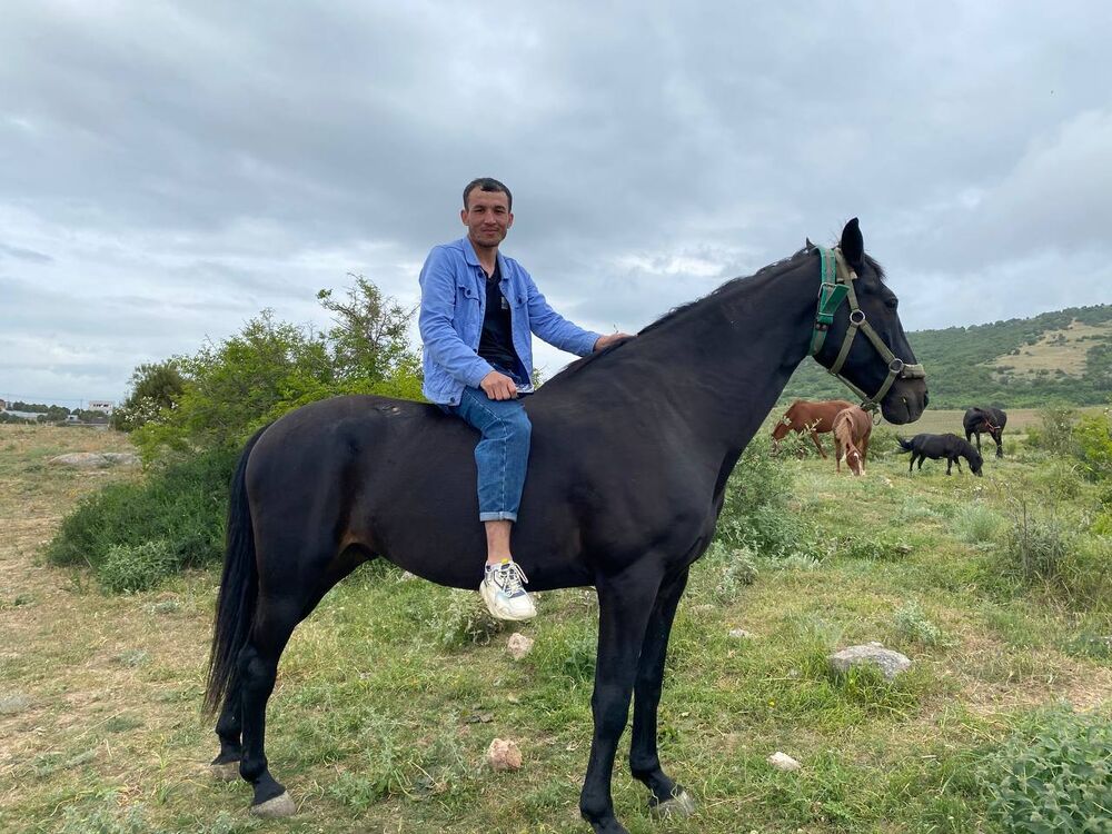 ���� 43809301 ������� ������, 29 ���, ���� ���������� � �����������