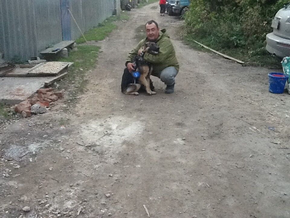  ,   , 53 ,   ,   , c , 
