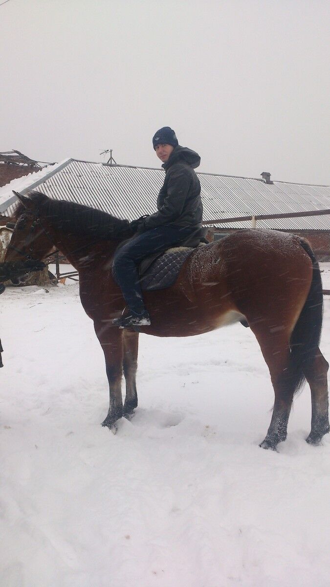 ���������� �����, ���� ������� �����, 36 ���, ������������ ��� ������