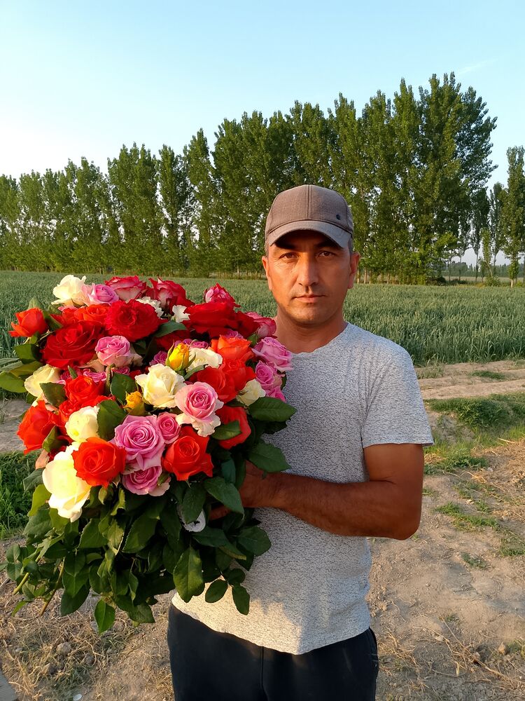  ,    , 39 ,   ,   